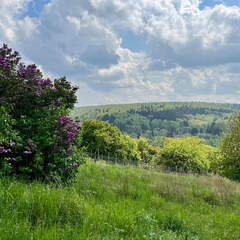 22-04-25 14-23-40 0643